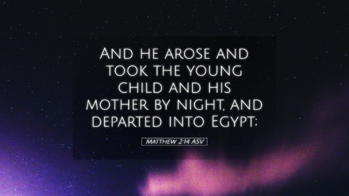 Picture 05 - Matthew 2:14 ASV Desktop Wallpaper - And he arose and took the young child and his - Desktop Bible Verse Wallpaper