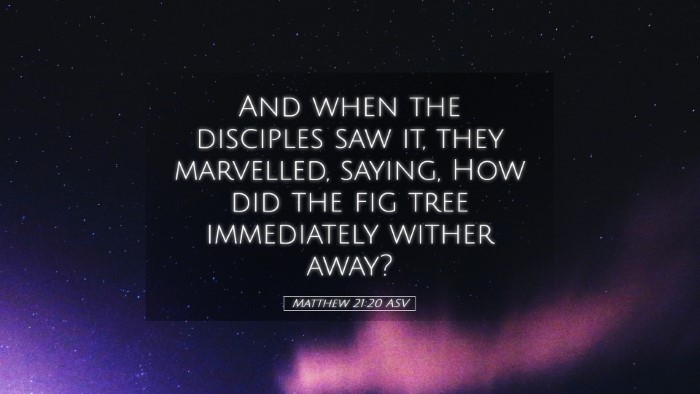 Picture 05 - Matthew 21:20 ASV Desktop Wallpaper - And when the disciples saw it, they marvelled, - Desktop Bible Verse Wallpaper
