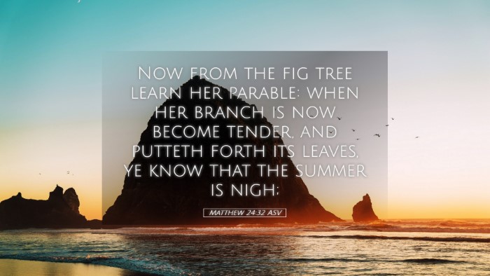 Picture 05 - Matthew 24:32 ASV Desktop Wallpaper - Now from the fig tree learn her parable: when her - Desktop Bible Verse Wallpaper