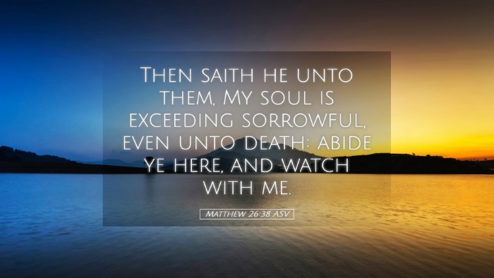 Picture 05 - Matthew 26:38 ASV Desktop Wallpaper - Then saith he unto them, My soul is exceeding - Desktop Bible Verse Wallpaper