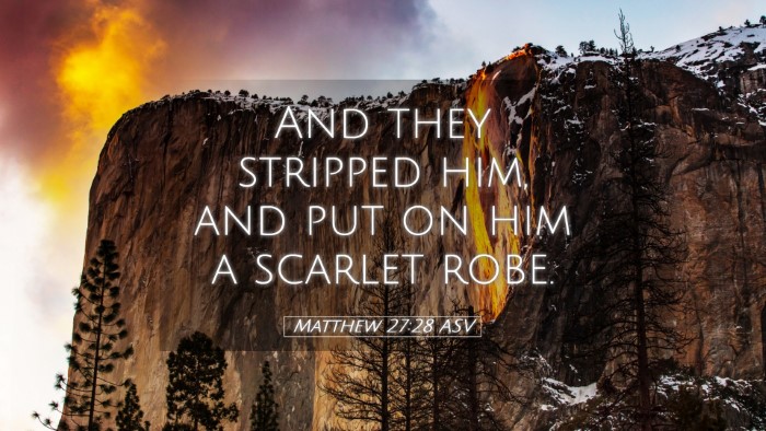 Picture 05 - Matthew 27:28 ASV Desktop Wallpaper - And they stripped him, and put on him a scarlet - Desktop Bible Verse Wallpaper