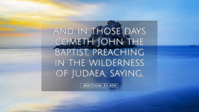 Picture 05 - Matthew 3:1 ASV Desktop Wallpaper - And in those days cometh John the Baptist, - Desktop Bible Verse Wallpaper