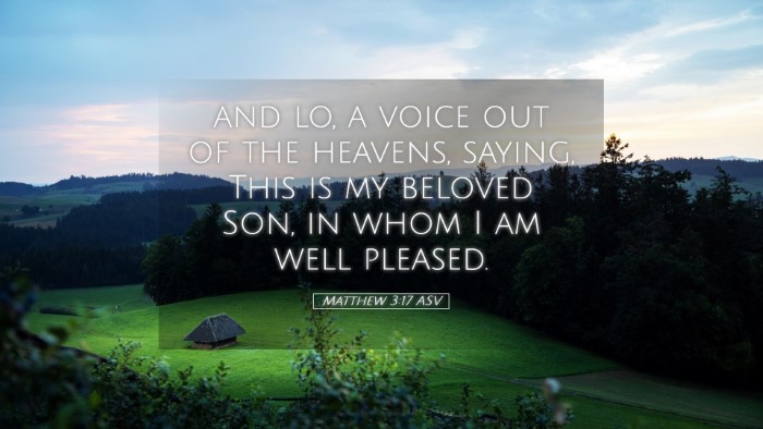 Picture 05 - Matthew 3:17 ASV Desktop Wallpaper - and lo, a voice out of the heavens, saying, This - Desktop Bible Verse Wallpaper