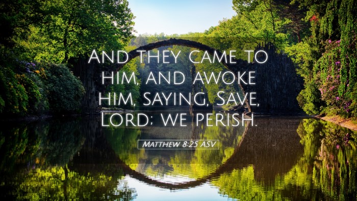Picture 05 - Matthew 8:25 ASV Desktop Wallpaper - And they came to him, and awoke him, saying, - Desktop Bible Verse Wallpaper