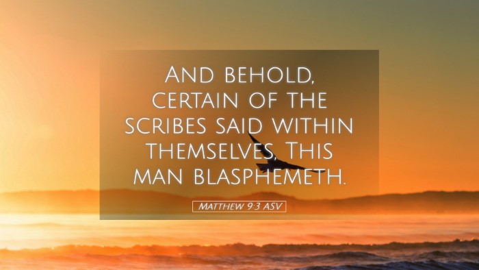 Picture 05 - Matthew 9:3 ASV Desktop Wallpaper - And behold, certain of the scribes said within - Desktop Bible Verse Wallpaper
