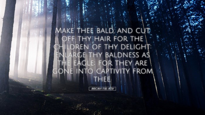 Picture 05 - Micah 1:16 ASV Desktop Wallpaper - Make thee bald, and cut off thy hair for the - Desktop Bible Verse Wallpaper