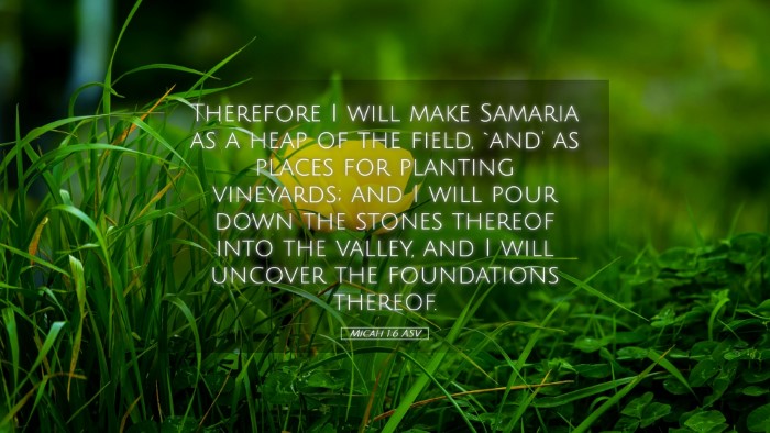 Picture 05 - Micah 1:6 ASV Desktop Wallpaper - Therefore I will make Samaria as a heap of the - Desktop Bible Verse Wallpaper