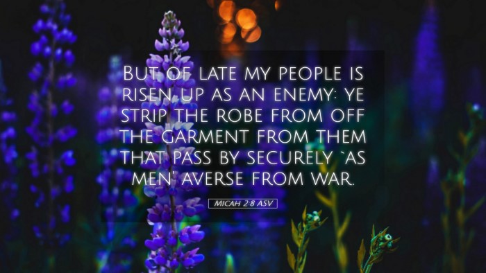 Picture 05 - Micah 2:8 ASV Desktop Wallpaper - But of late my people is risen up as an enemy: ye - Desktop Bible Verse Wallpaper