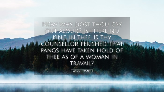 Picture 05 - Micah 4:9 ASV Desktop Wallpaper - Now why dost thou cry out aloud? Is there no king - Desktop Bible Verse Wallpaper
