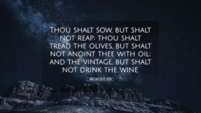 Picture 05 - Micah 6:15 ASV Desktop Wallpaper - Thou shalt sow, but shalt not reap; thou shalt - Desktop Bible Verse Wallpaper