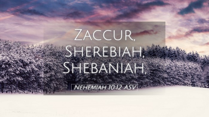Picture 05 - Nehemiah 10:12 ASV Desktop Wallpaper - Zaccur, Sherebiah, - Desktop Bible Verse Wallpaper