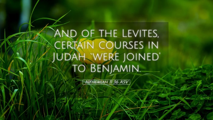 Picture 05 - Nehemiah 11:36 ASV Desktop Wallpaper - And of the Levites, certain courses in Judah - Desktop Bible Verse Wallpaper