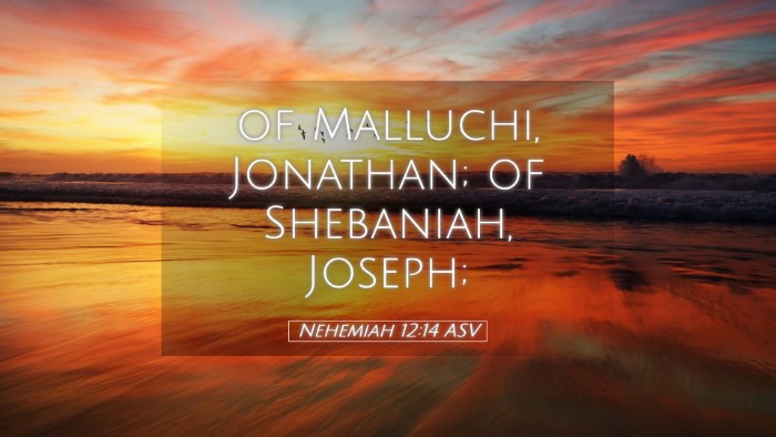 Picture 05 - Nehemiah 12:14 ASV Desktop Wallpaper - of Malluchi, Jonathan; of Shebaniah, - Desktop Bible Verse Wallpaper