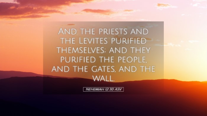 Picture 05 - Nehemiah 12:30 ASV Desktop Wallpaper - And the priests and the Levites purified - Desktop Bible Verse Wallpaper