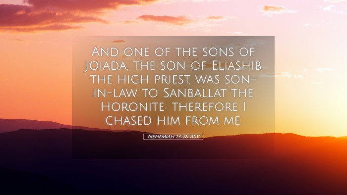 Picture 05 - Nehemiah 13:28 ASV Desktop Wallpaper - And one of the sons of Joiada, the son of - Desktop Bible Verse Wallpaper