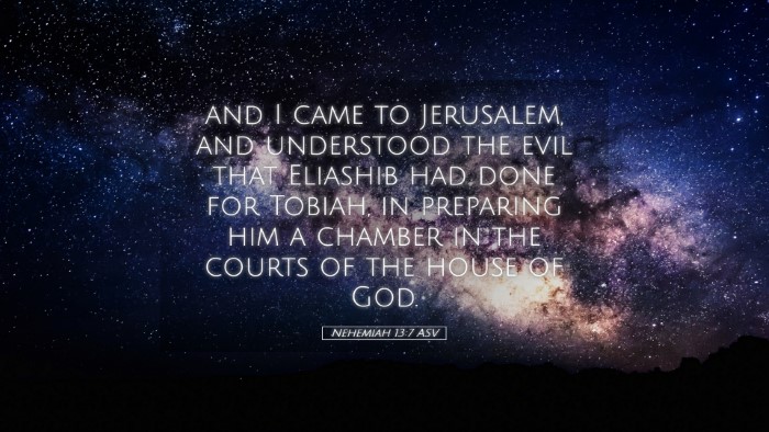 Picture 05 - Nehemiah 13:7 ASV Desktop Wallpaper - and I came to Jerusalem, and understood the evil - Desktop Bible Verse Wallpaper