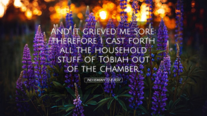 Picture 05 - Nehemiah 13:8 ASV Desktop Wallpaper - And it grieved me sore: therefore I cast forth - Desktop Bible Verse Wallpaper