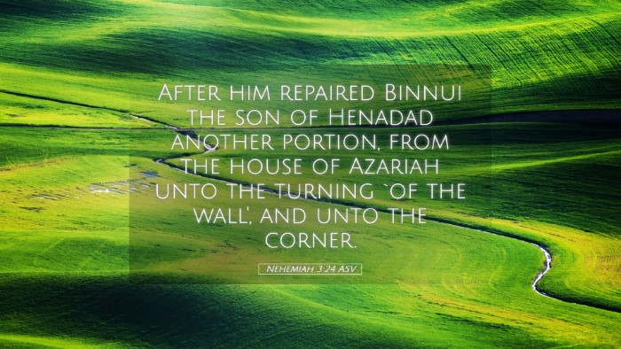 Picture 05 - Nehemiah 3:24 ASV Desktop Wallpaper - After him repaired Binnui the son of Henadad - Desktop Bible Verse Wallpaper