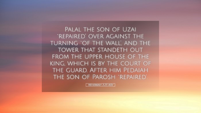 Picture 05 - Nehemiah 3:25 ASV Desktop Wallpaper - Palal the son of Uzai `repaired' over against the - Desktop Bible Verse Wallpaper