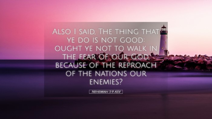 Picture 05 - Nehemiah 5:9 ASV Desktop Wallpaper - Also I said, The thing that ye do is not good: - Desktop Bible Verse Wallpaper