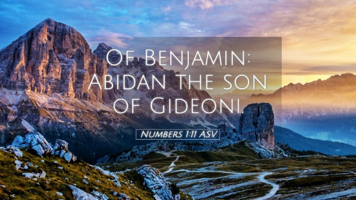Picture 05 - Numbers 1:11 ASV Desktop Wallpaper - Of Benjamin: Abidan the son of - Desktop Bible Verse Wallpaper