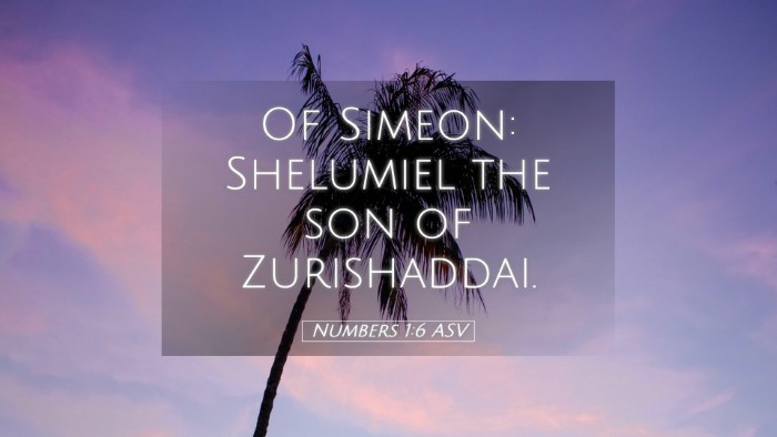 Picture 05 - Numbers 1:6 ASV Desktop Wallpaper - Of Simeon: Shelumiel the son of - Desktop Bible Verse Wallpaper
