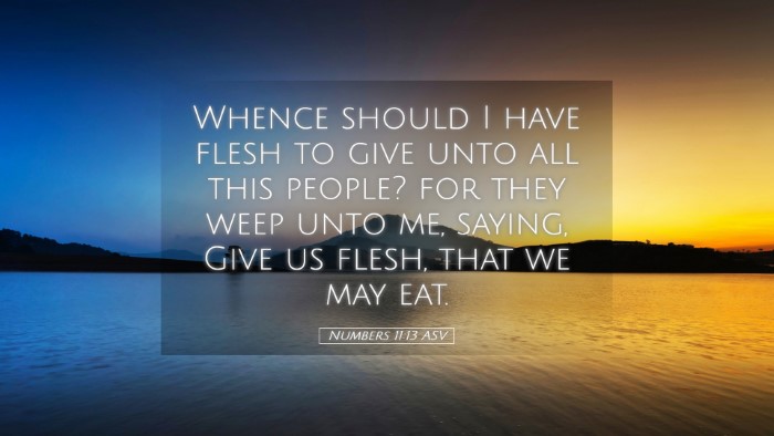 Picture 05 - Numbers 11:13 ASV Desktop Wallpaper - Whence should I have flesh to give unto all this - Desktop Bible Verse Wallpaper