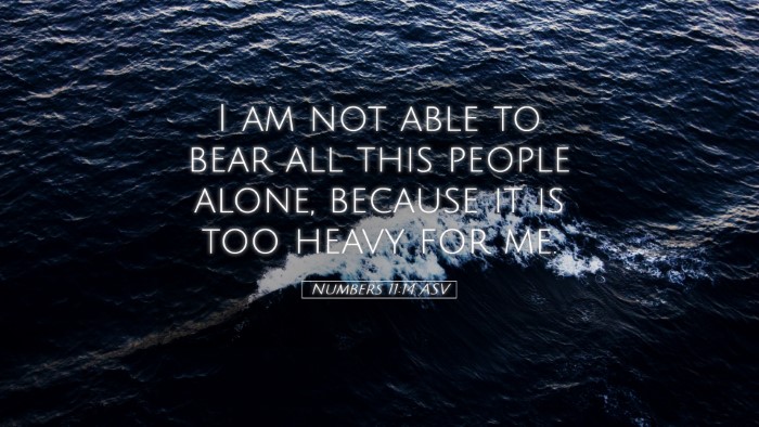 Picture 05 - Numbers 11:14 ASV Desktop Wallpaper - I am not able to bear all this people alone, - Desktop Bible Verse Wallpaper