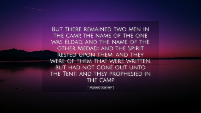 Picture 05 - Numbers 11:26 ASV Desktop Wallpaper - But there remained two men in the camp, the name - Desktop Bible Verse Wallpaper