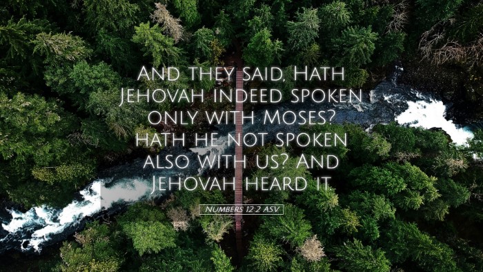 Picture 05 - Numbers 12:2 ASV Desktop Wallpaper - And they said, Hath Jehovah indeed spoken only - Desktop Bible Verse Wallpaper