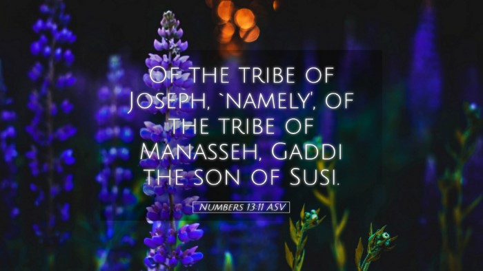 Picture 05 - Numbers 13:11 ASV Desktop Wallpaper - Of the tribe of Joseph, `namely', of the tribe of - Desktop Bible Verse Wallpaper
