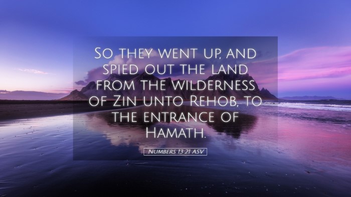 Picture 05 - Numbers 13:21 ASV Desktop Wallpaper - So they went up, and spied out the land from the - Desktop Bible Verse Wallpaper