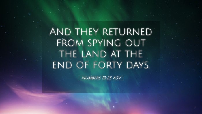 Picture 05 - Numbers 13:25 ASV Desktop Wallpaper - And they returned from spying out the land at the - Desktop Bible Verse Wallpaper