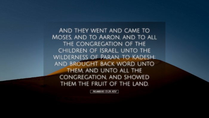 Picture 05 - Numbers 13:26 ASV Desktop Wallpaper - And they went and came to Moses, and to Aaron, - Desktop Bible Verse Wallpaper