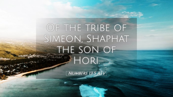 Picture 05 - Numbers 13:5 ASV Desktop Wallpaper - Of the tribe of Simeon, Shaphat the son of - Desktop Bible Verse Wallpaper