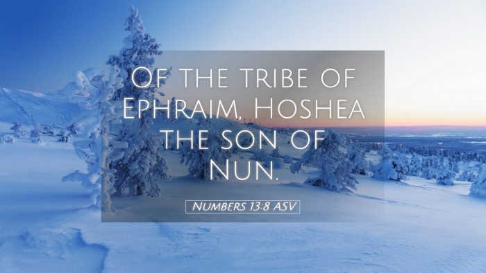 Picture 05 - Numbers 13:8 ASV Desktop Wallpaper - Of the tribe of Ephraim, Hoshea the son of - Desktop Bible Verse Wallpaper