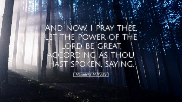 Picture 05 - Numbers 14:17 ASV Desktop Wallpaper - And now, I pray thee, let the power of the Lord - Desktop Bible Verse Wallpaper
