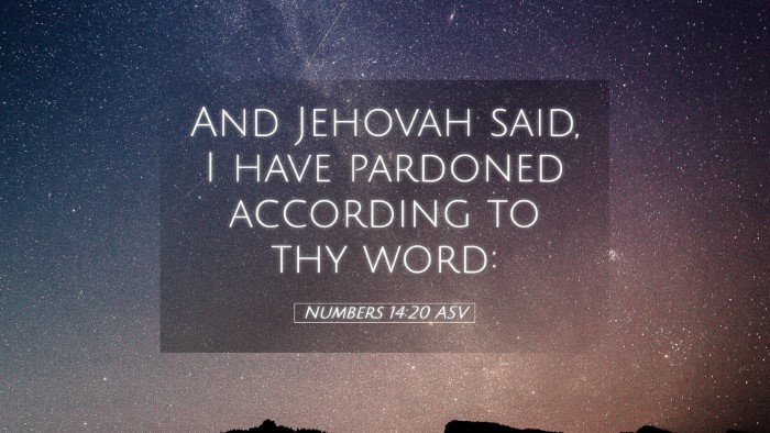 Picture 05 - Numbers 14:20 ASV Desktop Wallpaper - And Jehovah said, I have pardoned according to - Desktop Bible Verse Wallpaper