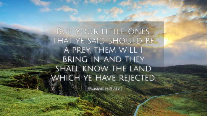 Picture 05 - Numbers 14:31 ASV Desktop Wallpaper - But your little ones, that ye said should be a - Desktop Bible Verse Wallpaper