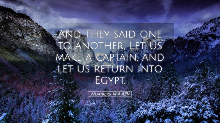 Picture 05 - Numbers 14:4 ASV Desktop Wallpaper - And they said one to another, Let us make a - Desktop Bible Verse Wallpaper