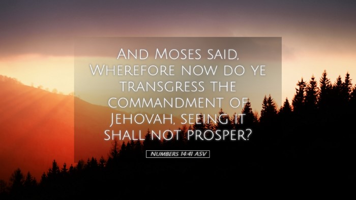 Picture 05 - Numbers 14:41 ASV Desktop Wallpaper - And Moses said, Wherefore now do ye transgress - Desktop Bible Verse Wallpaper