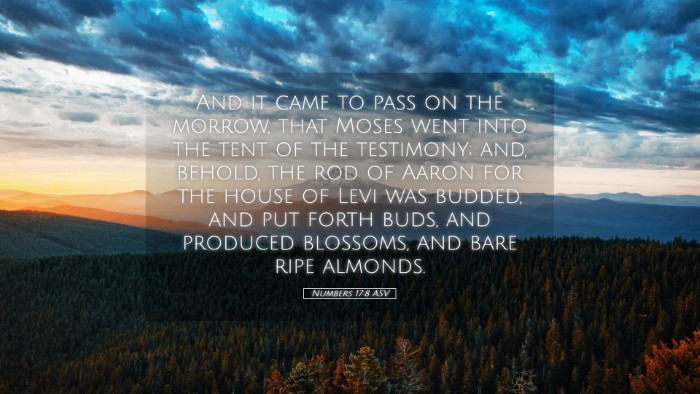 Picture 05 - Numbers 17:8 ASV Desktop Wallpaper - And it came to pass on the morrow, that Moses - Desktop Bible Verse Wallpaper