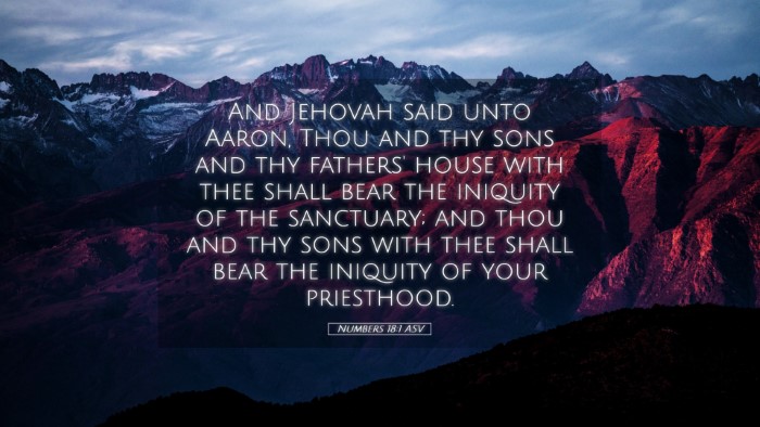 Picture 05 - Numbers 18:1 ASV Desktop Wallpaper - And Jehovah said unto Aaron, Thou and thy sons - Desktop Bible Verse Wallpaper