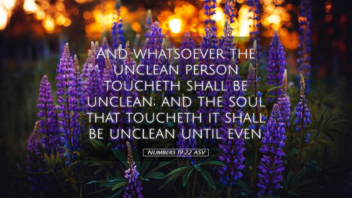 Picture 05 - Numbers 19:22 ASV Desktop Wallpaper - And whatsoever the unclean person toucheth shall - Desktop Bible Verse Wallpaper