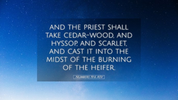 Picture 05 - Numbers 19:6 ASV Desktop Wallpaper - and the priest shall take cedar-wood, and hyssop, - Desktop Bible Verse Wallpaper