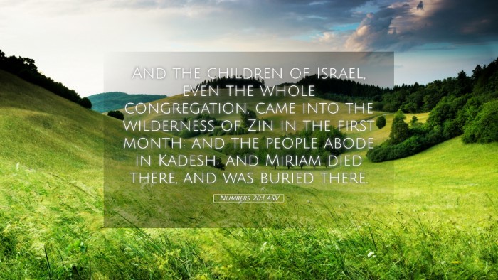 Picture 05 - Numbers 20:1 ASV Desktop Wallpaper - And the children of Israel, even the whole - Desktop Bible Verse Wallpaper