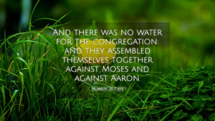 Picture 05 - Numbers 20:2 ASV Desktop Wallpaper - And there was no water for the congregation: and - Desktop Bible Verse Wallpaper