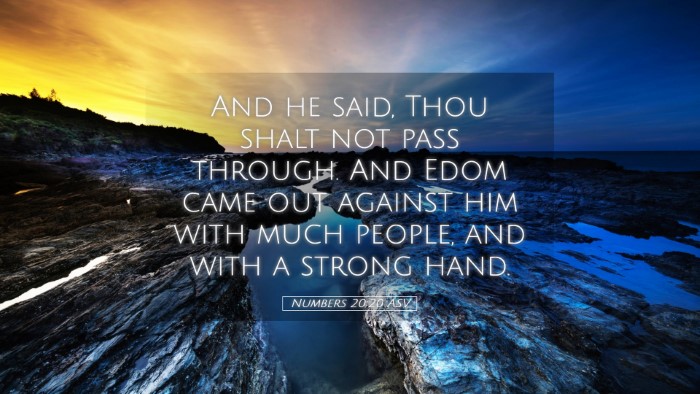 Picture 05 - Numbers 20:20 ASV Desktop Wallpaper - And he said, Thou shalt not pass through. And - Desktop Bible Verse Wallpaper