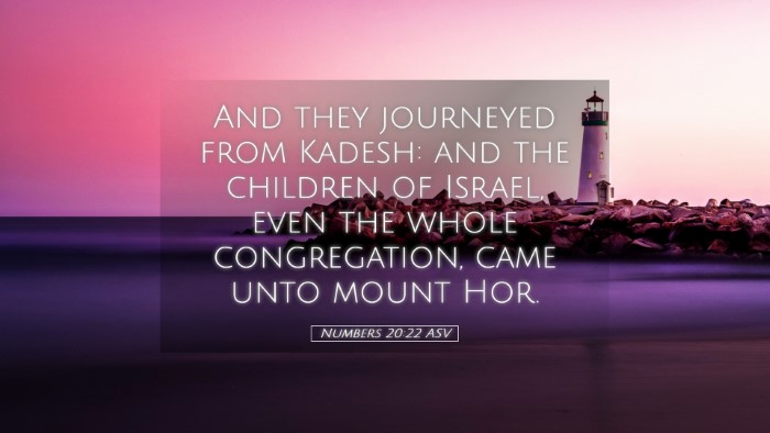 Picture 05 - Numbers 20:22 ASV Desktop Wallpaper - And they journeyed from Kadesh: and the children - Desktop Bible Verse Wallpaper