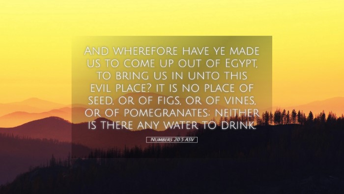 Picture 05 - Numbers 20:5 ASV Desktop Wallpaper - And wherefore have ye made us to come up out of - Desktop Bible Verse Wallpaper